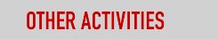 Other activities